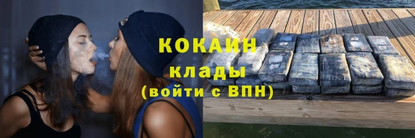 альфа пвп Гусев