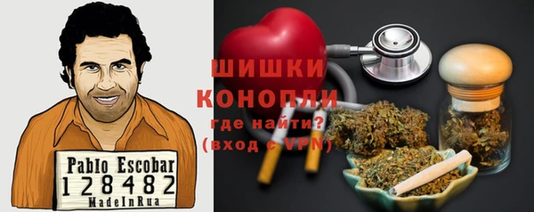альфа пвп Гусев