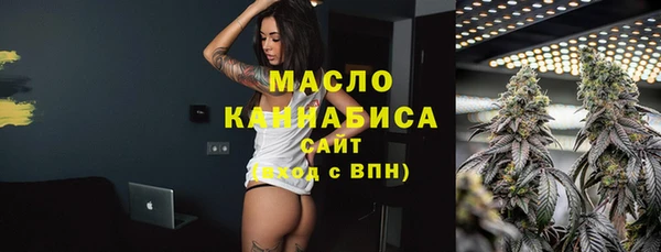 гидра Гусь-Хрустальный
