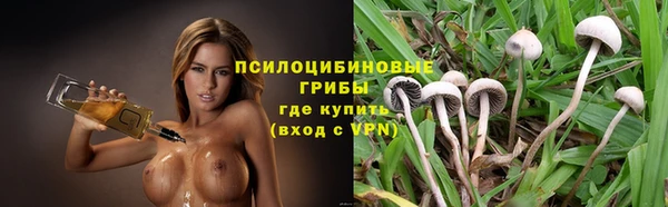 альфа пвп Гусев