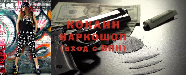 гидра Гусь-Хрустальный