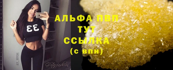 альфа пвп Гусев