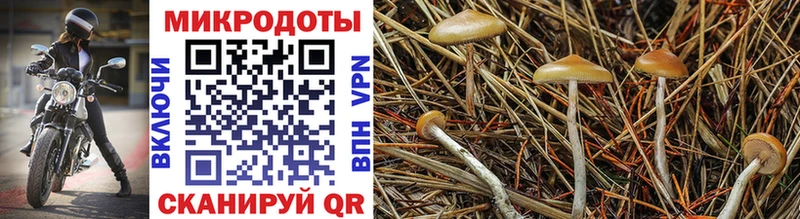Псилоцибиновые грибы ЛСД  Пестово 